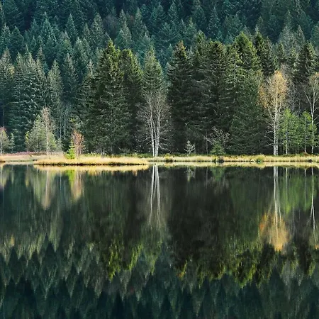 Domaine Du Pre-saint-georges * Taintrux