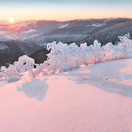 Domaine Du Pre-saint-georges *