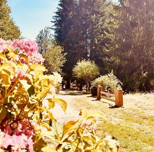 Domaine Du Pre-saint-georges 招待所 *