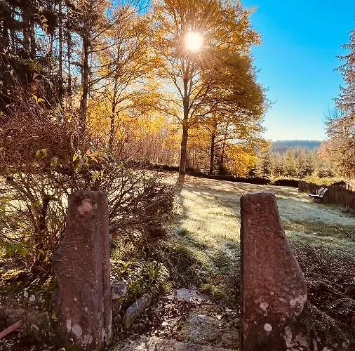 Domaine Du Pre-saint-georges * Taintrux