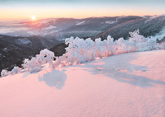 Domaine Du Pre-saint-georges *