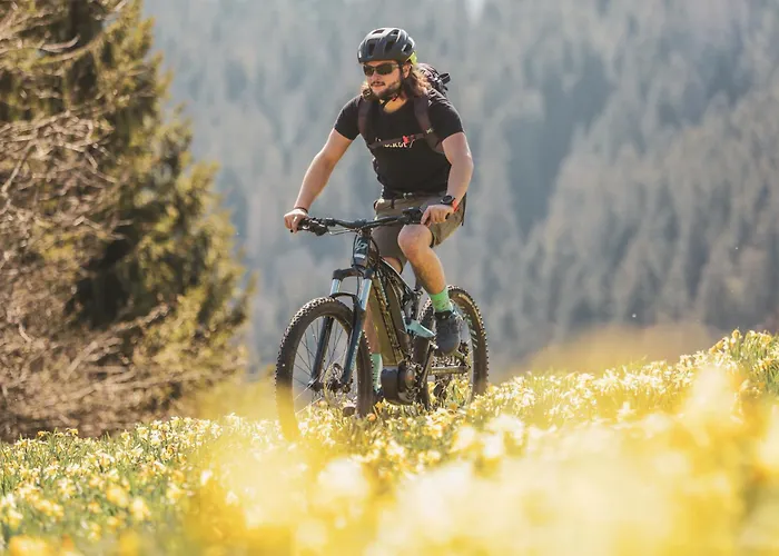 Domaine Du Pre-saint-georges * Taintrux